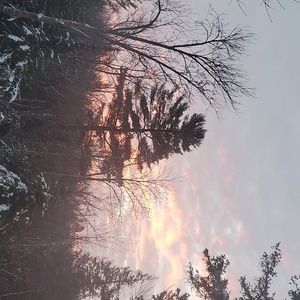 Meet your Posher, Hailey